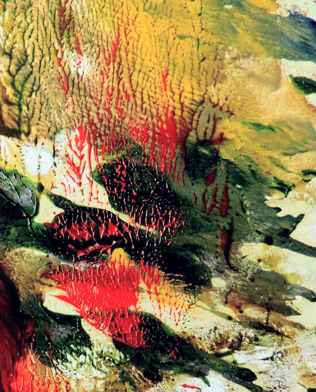 Monoprints