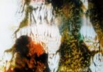 Monoprints